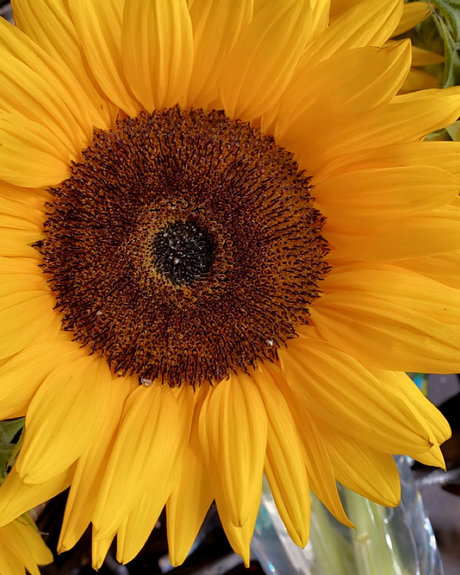 Queen M ass onlyfans