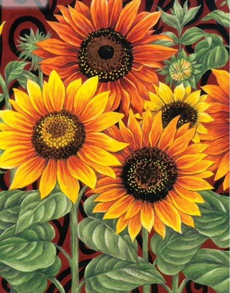 R my onlyfans pics nude