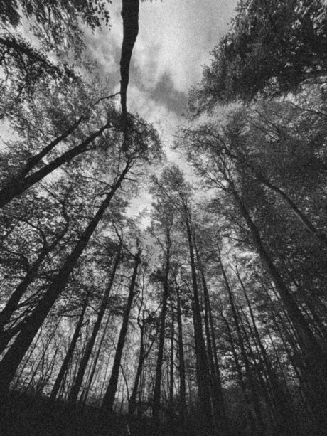 Leilalu leaked onlyfans porn