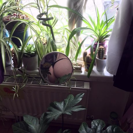 thedevilwearsdrama onlyfans nudes leak