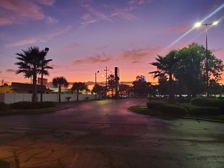 Sam Diamond onlyfans leak ass