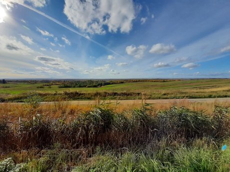 Rainbow James  galleries