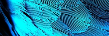 Dane Del Rey onlyfans free