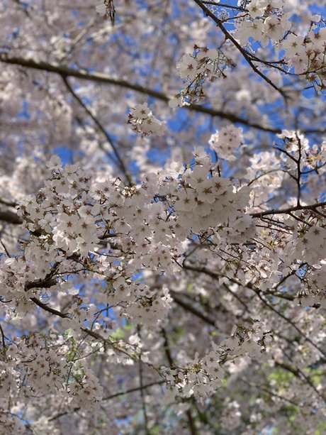 Queen feet onlyfans nude photos