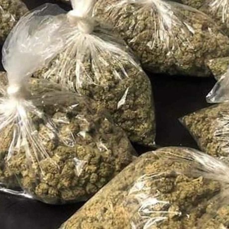 Red Tage1685 naked onlyfans