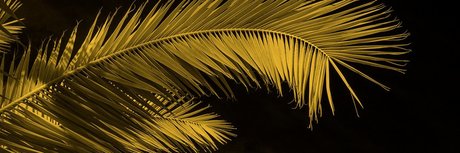 Oh Nose onlyfans sextape leak