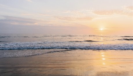 Robert f nudes onlyfans leaked