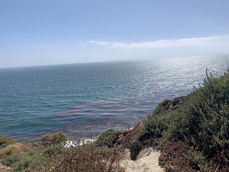 Ian Rios free onlyfans porn