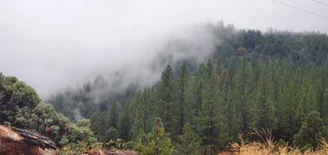 Rosey Thorns onlyfans naked leaks