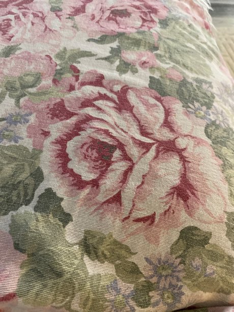 u18031372 onlyfans xxx