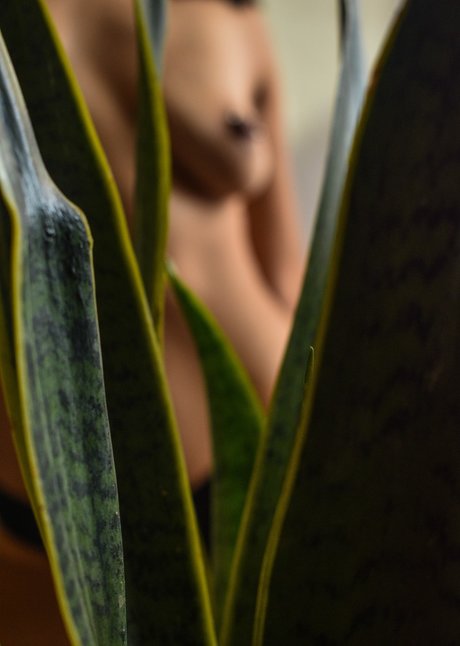 Sailor Meow onlyfans content leaked