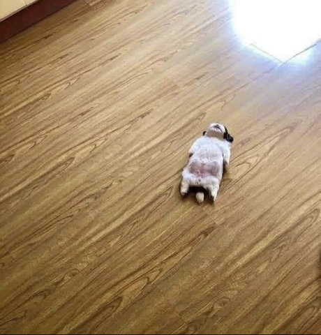 Sailor Cutie onlyfans sextape leak