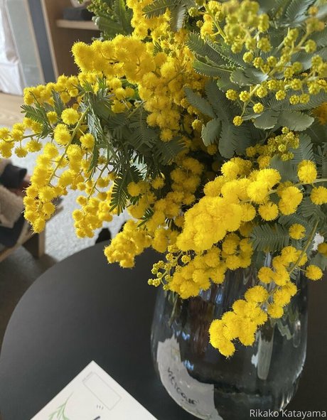 rikakodesu onlyfans porno