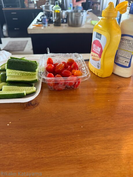 rikakodesu leaked onlyfans sex tape