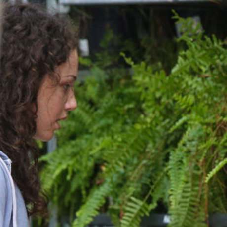 Katie Holmes nude porn onlyfans