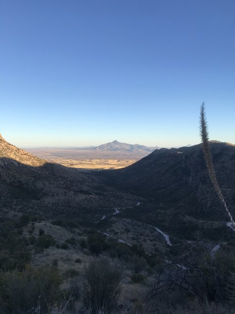 Ethan Matthew onlyfans strip tease