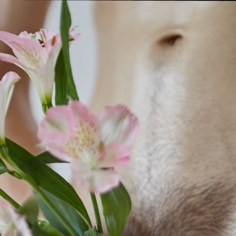 Sahueso VIP_ onlyfans nude leaks