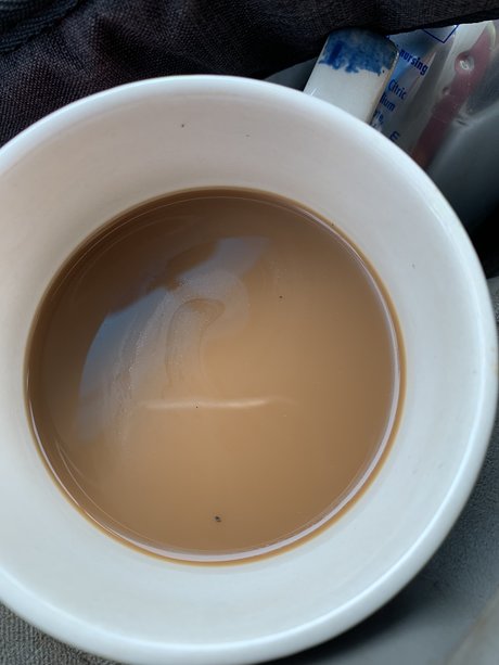 Sam Lincoln onlyfans leak sex