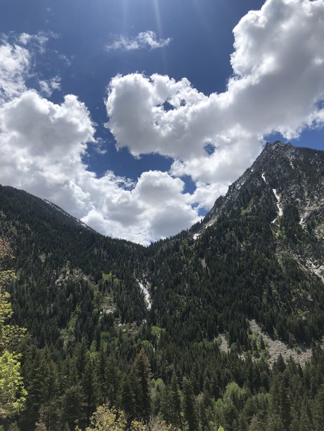 Lunaquartzz onlyfans free content