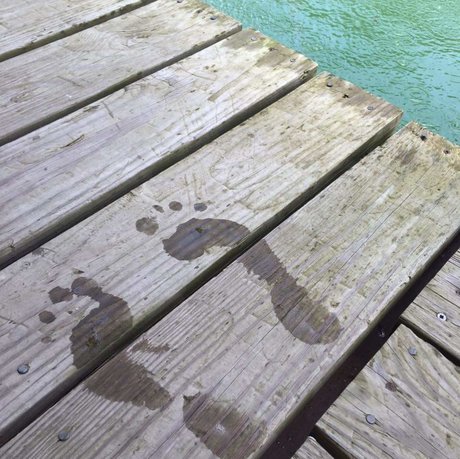 Miss Piggy s_ leaked nudes onlyfans