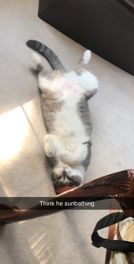 Yo Boi nudes onlyfans leak