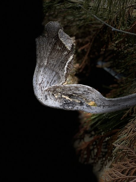 u9925087 on onlyfans