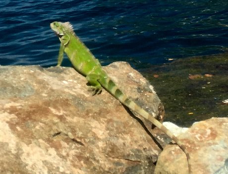 u9925087 onlyfans naked leaks