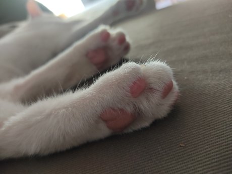 Ana Oliveros porn onlyfans leak