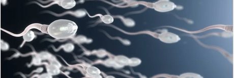 BBK TOP in PARIS porn only fans