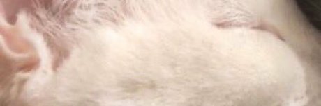 ivan pero en cuarentena onlyfans leaked dirtyship