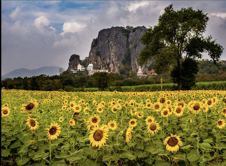 Elizabeth Faith onlyfans x