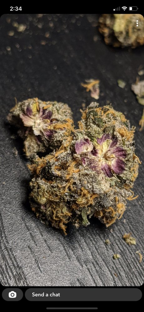 Flavor Chaserz nude porn onlyfans