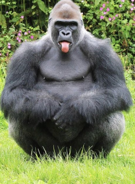 Pussy Pal AL new leaked onlyfans