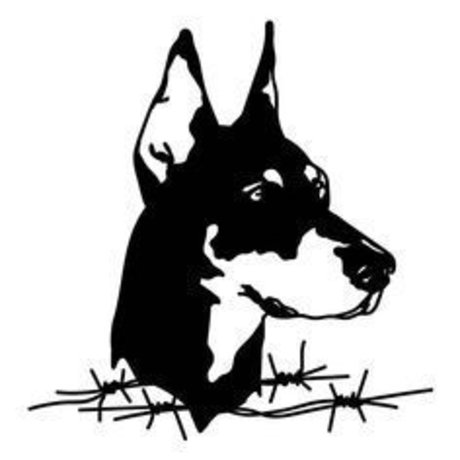 OFMANAGMENT amp amp MARKETING_ onlyfans free