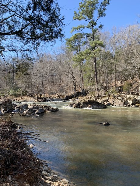 Imjusttipsy onlyfans leak naked