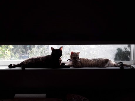 Nug onlyfans leak nudes