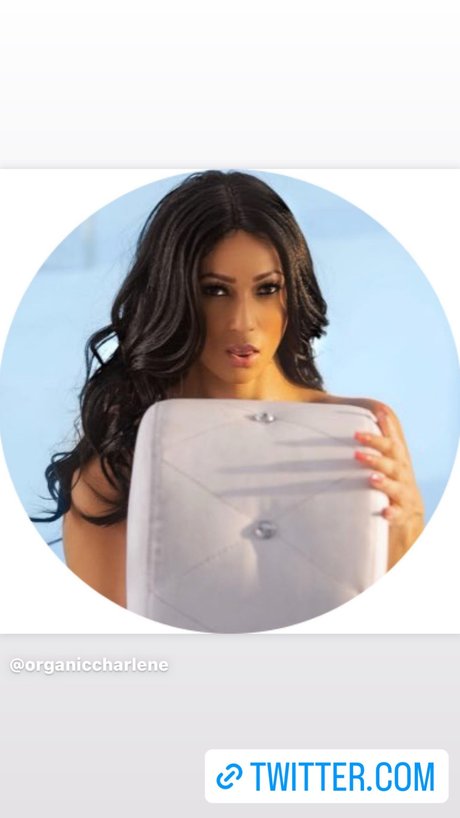 Chars House onlyfans leajs