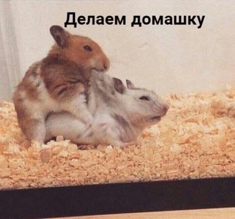 Onostasisa onlyfans public photos