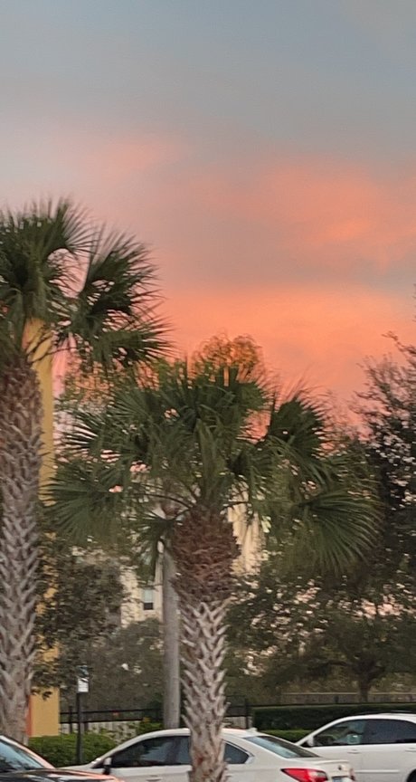 Mandi Yates leaks onlyfans porn