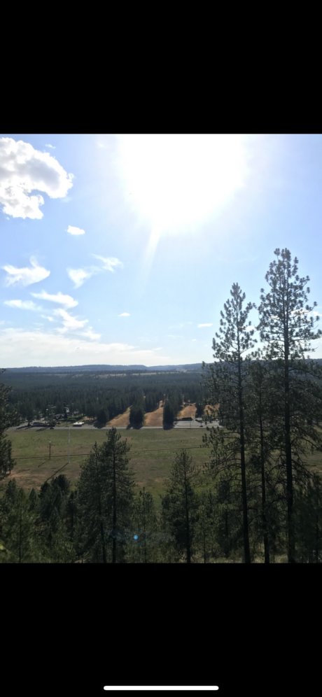 hmmmmmm only fans free