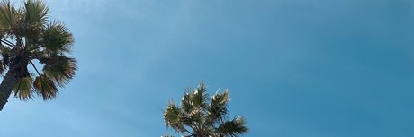 Cris y los Dinos onlyfans leak xxx