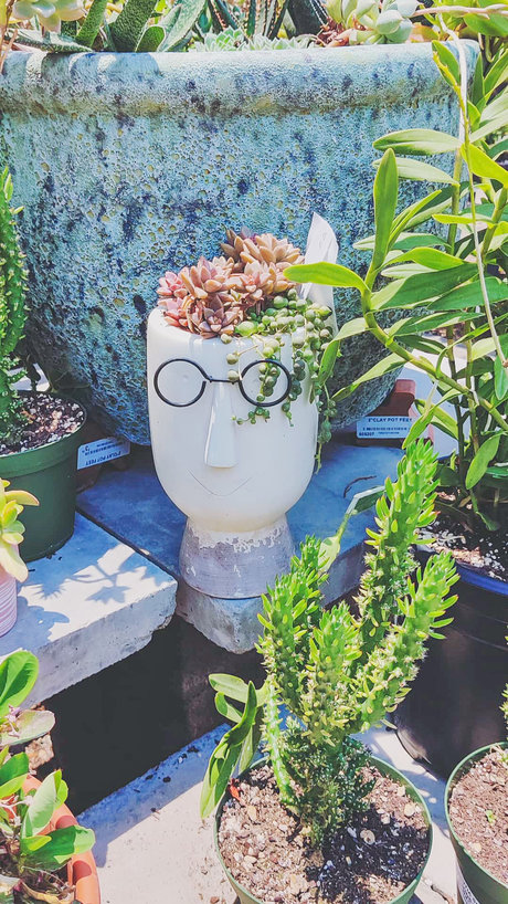 IrishGirl onlyfans leaked nude