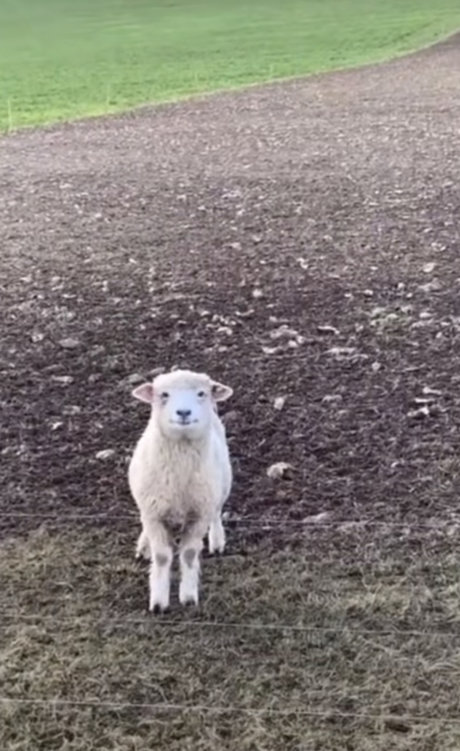 john only fans nudes