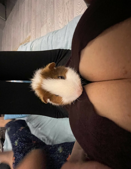 Lisa Rulit on onlyfans