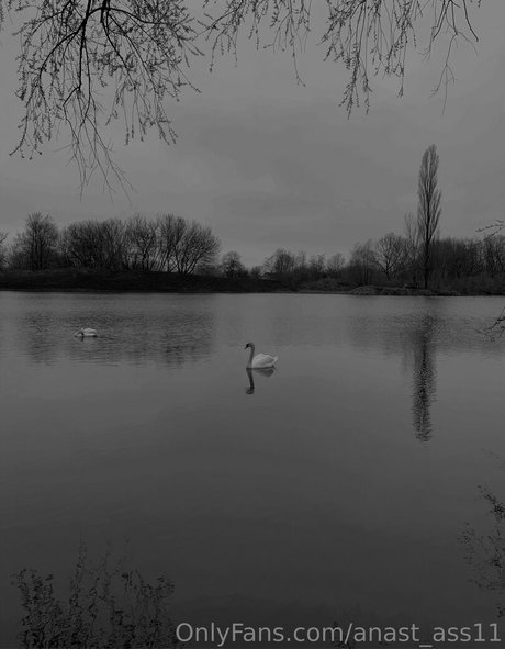 anast ass11 porn onlyfans