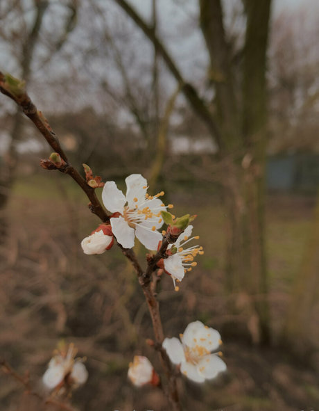 anast ass11 nude onlyfans