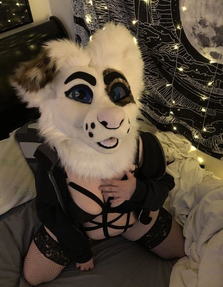 saoirsemutt onlyfans xx