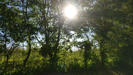 Muro onlyfans porn free