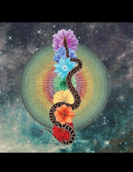 PhoenixRhysing onlyfans nude pictures