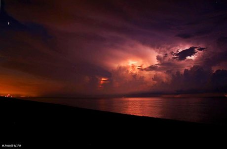 _sacred lotus_ onlyfans star